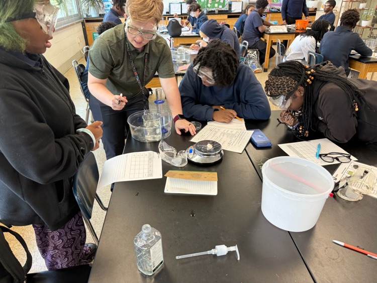 students working on a lab