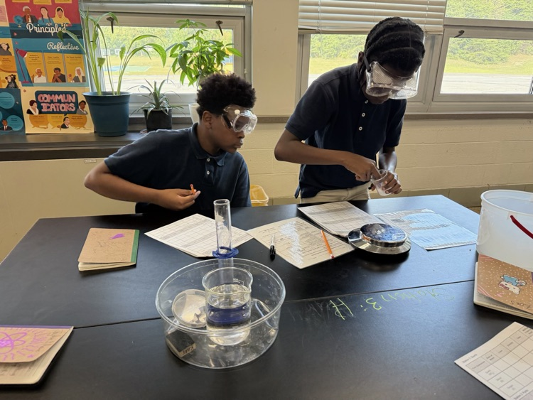 students working on a lab