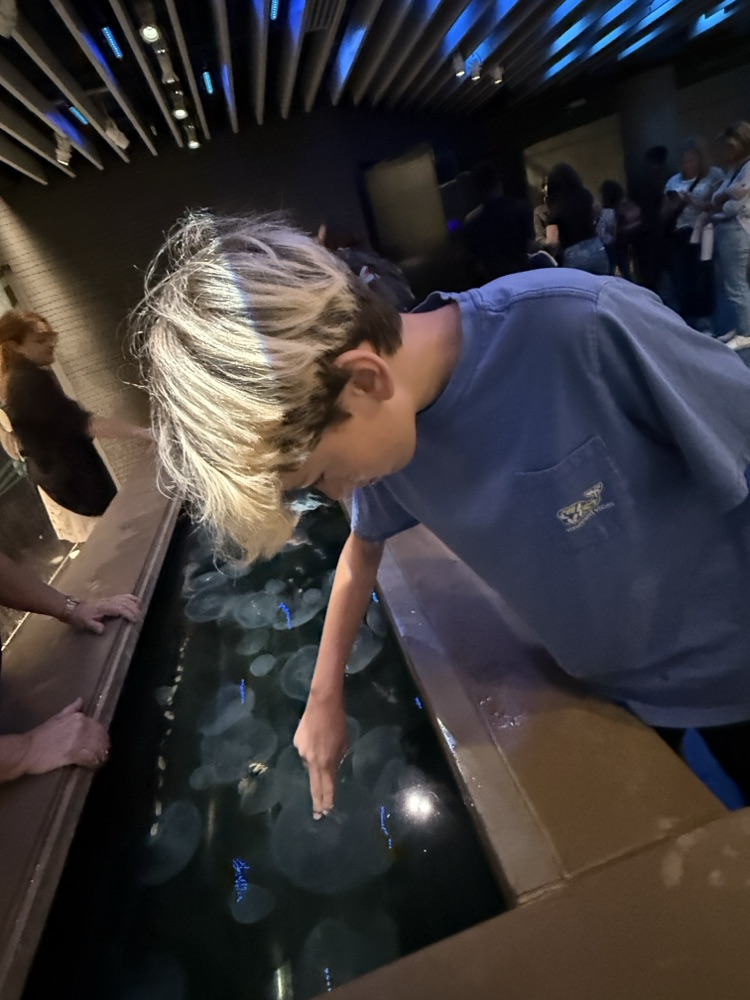 Baltimore Aquarium