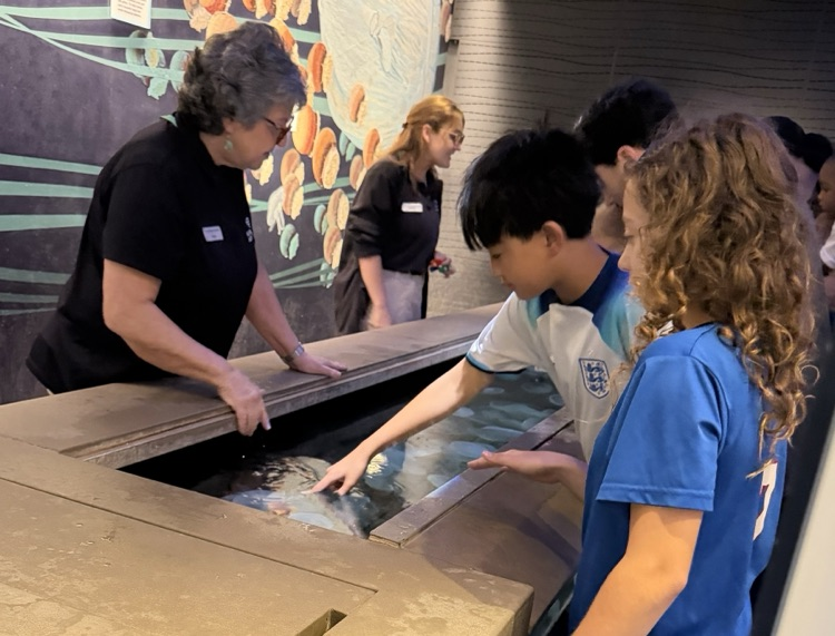 Baltimore Aquarium