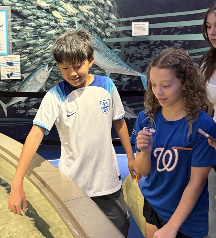 Baltimore Aquarium