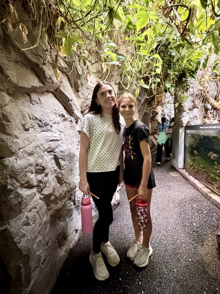 Baltimore Aquarium