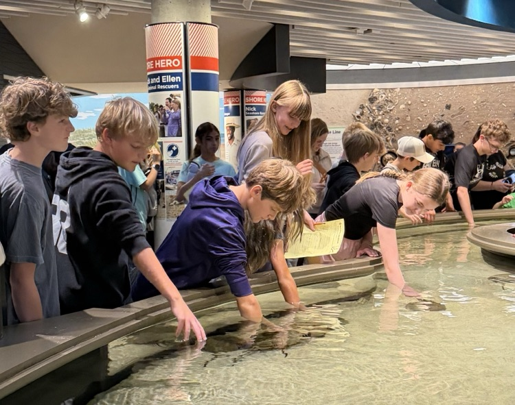 Baltimore Aquarium