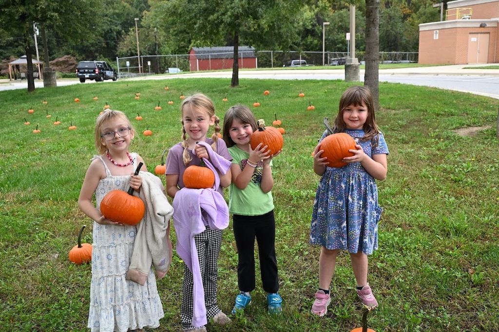 pumpkin patch
