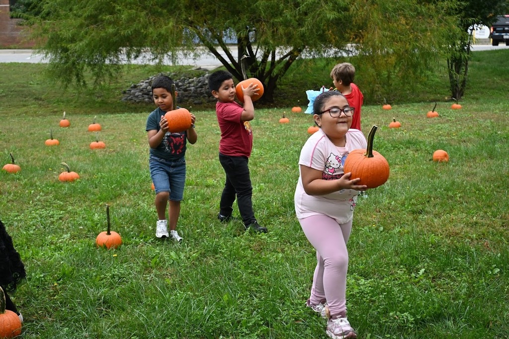 pumpkin patch