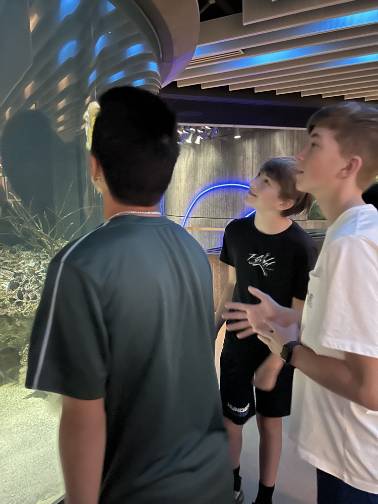 Baltimore Aquarium