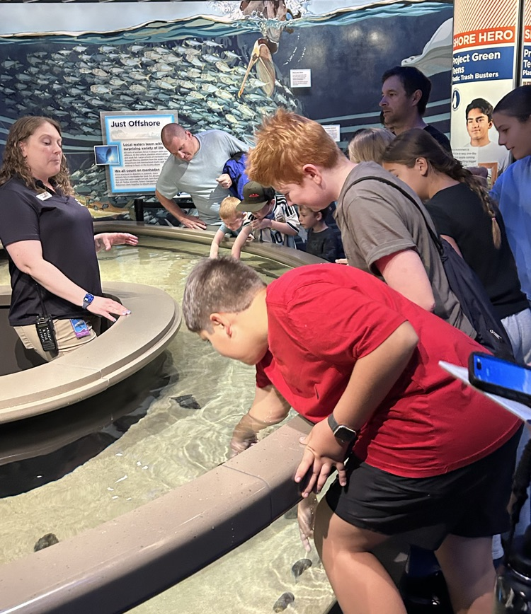 Baltimore Aquarium