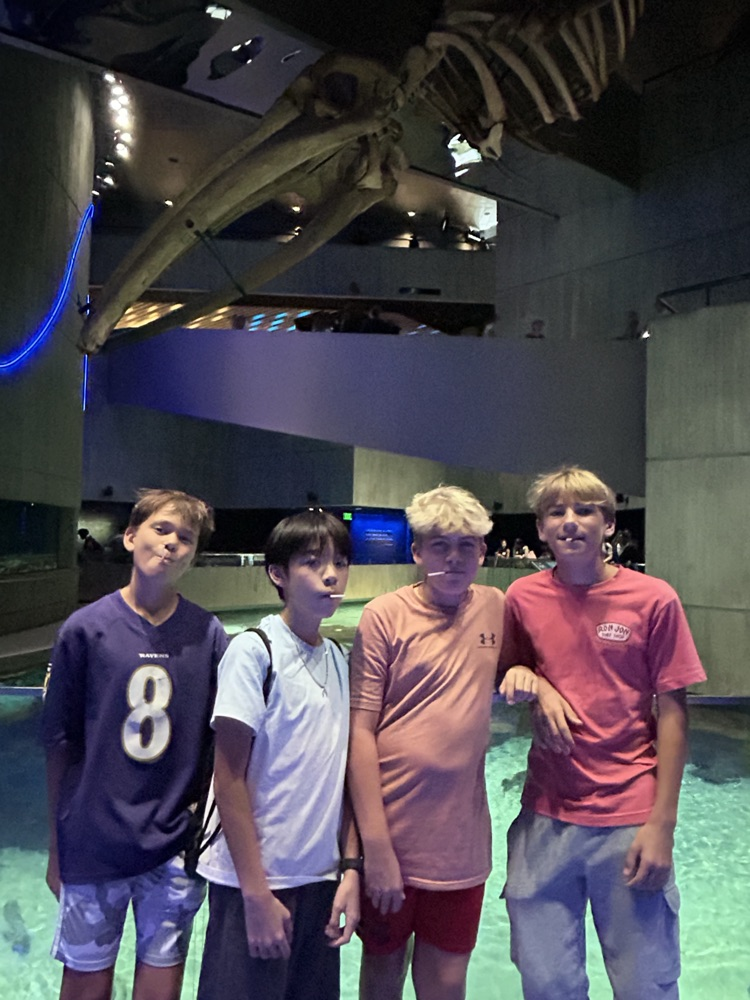 Baltimore Aquarium