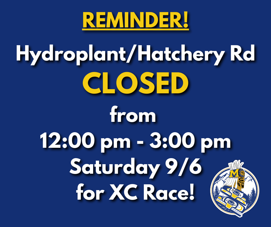 hydroplant closure