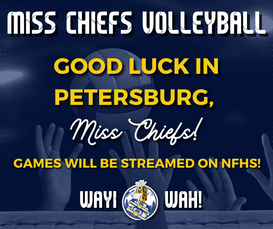 petersburg graphic with volleyball players and text