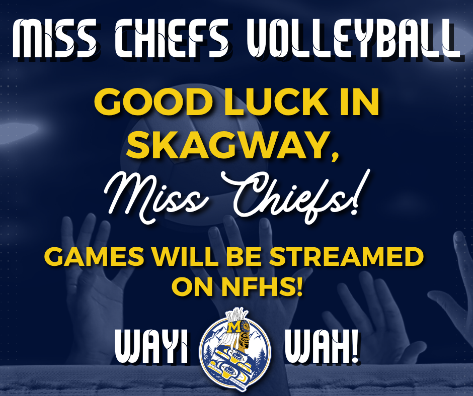 Regionals VB 25 graphic with volleyball players and text