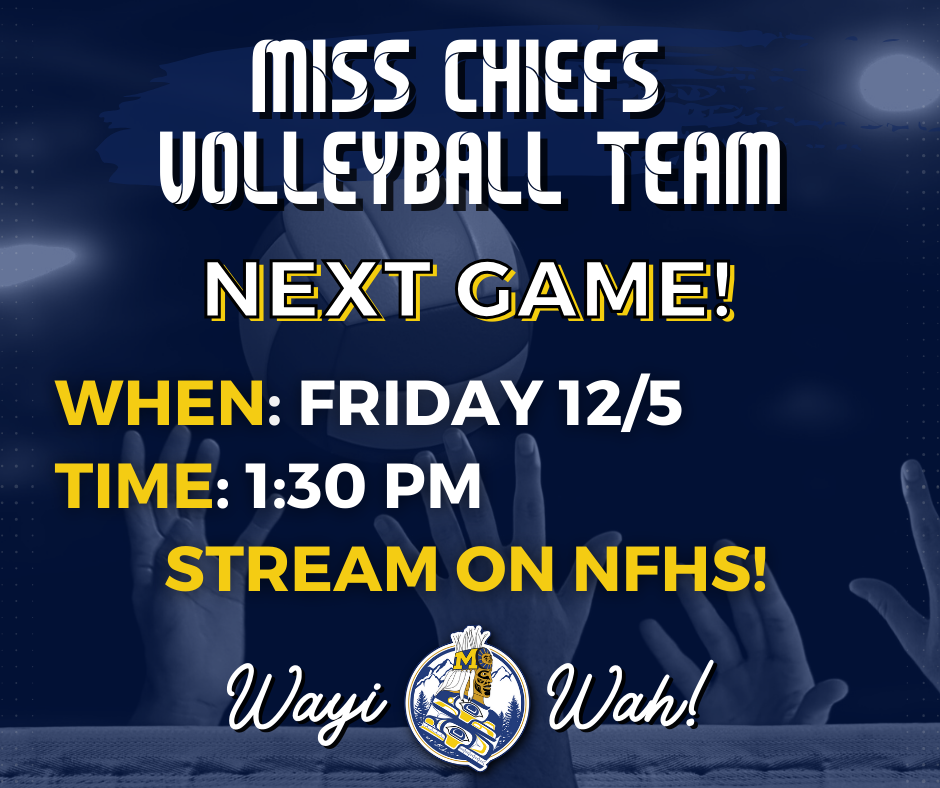 VB State updates - graphic with text, volleyball