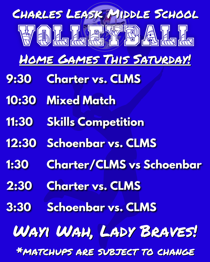 graphic with text, volleyball player, game schedule