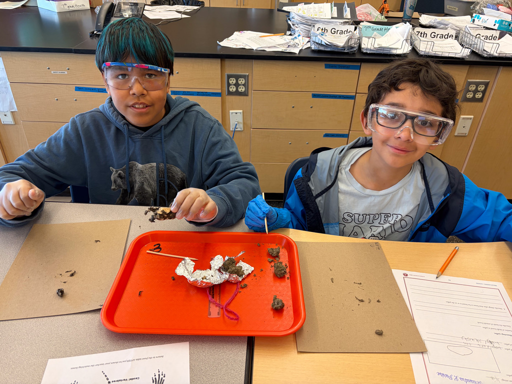 students at table in goggles dissecting owl pellets