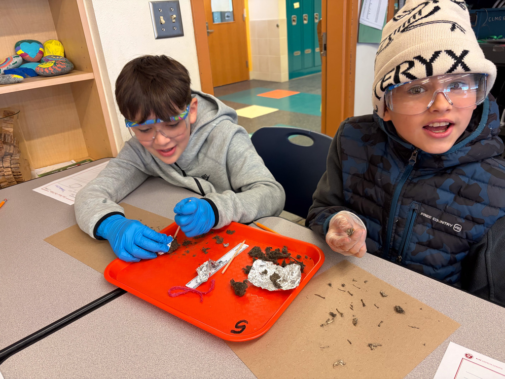 students at table in goggles dissecting owl pellets