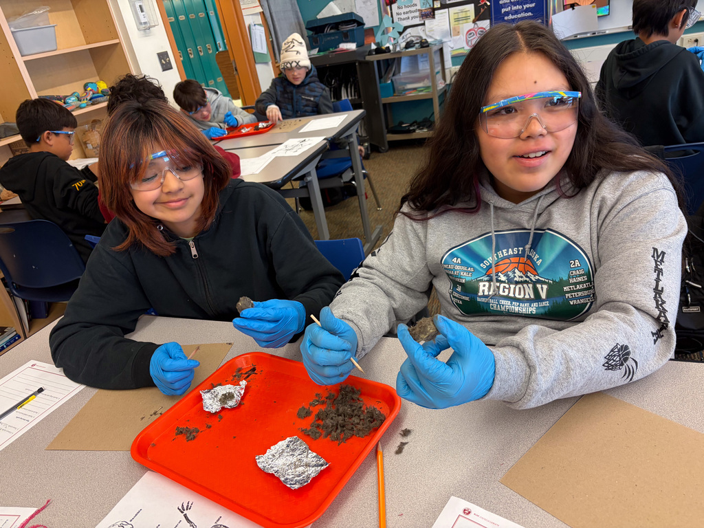 students at table in goggles dissecting owl pellets