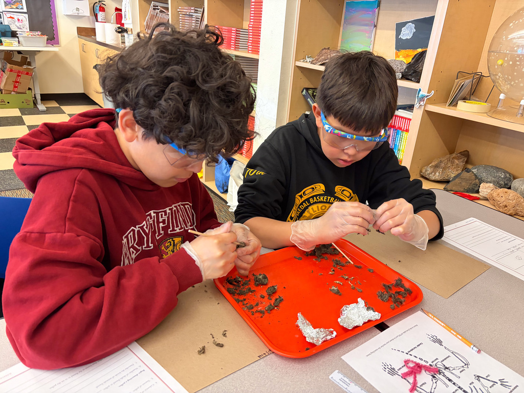 students at table in goggles dissecting owl pellets