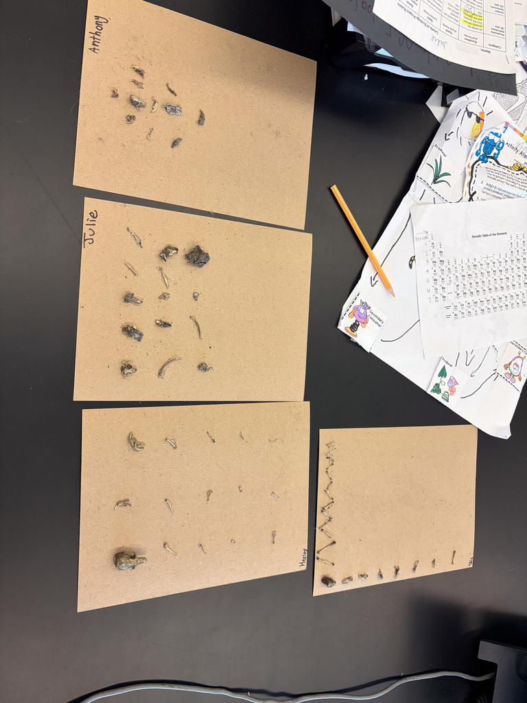 students at table in goggles dissecting owl pellets