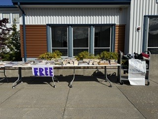 books on a table outside
