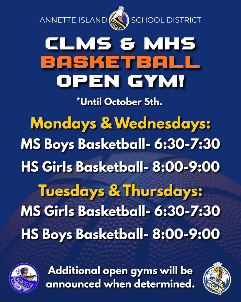 graphic with text, information about basketball open gym. Text in description.