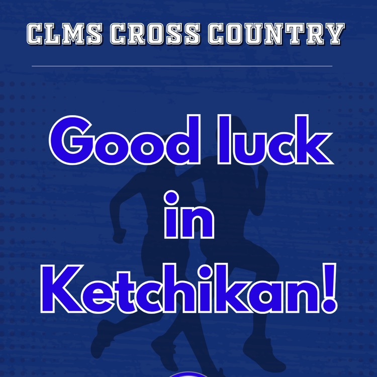 graphic with runners text good luck cross country