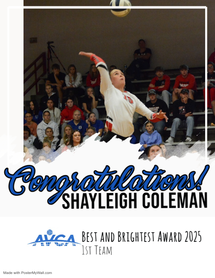 volleyball (2) - Made with PosterMyWall (2)