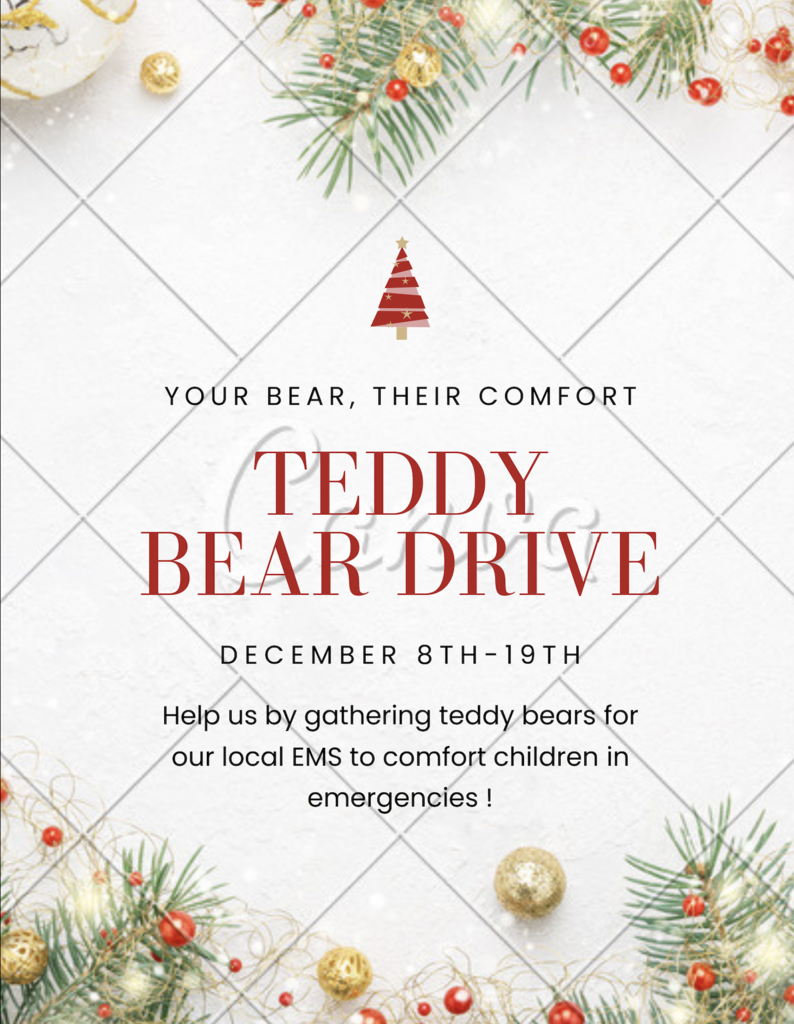 Teddy Bear Drive