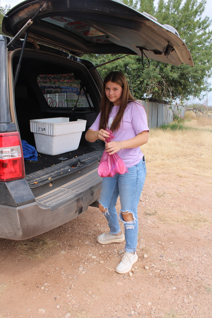 Chaselynn making deliveries