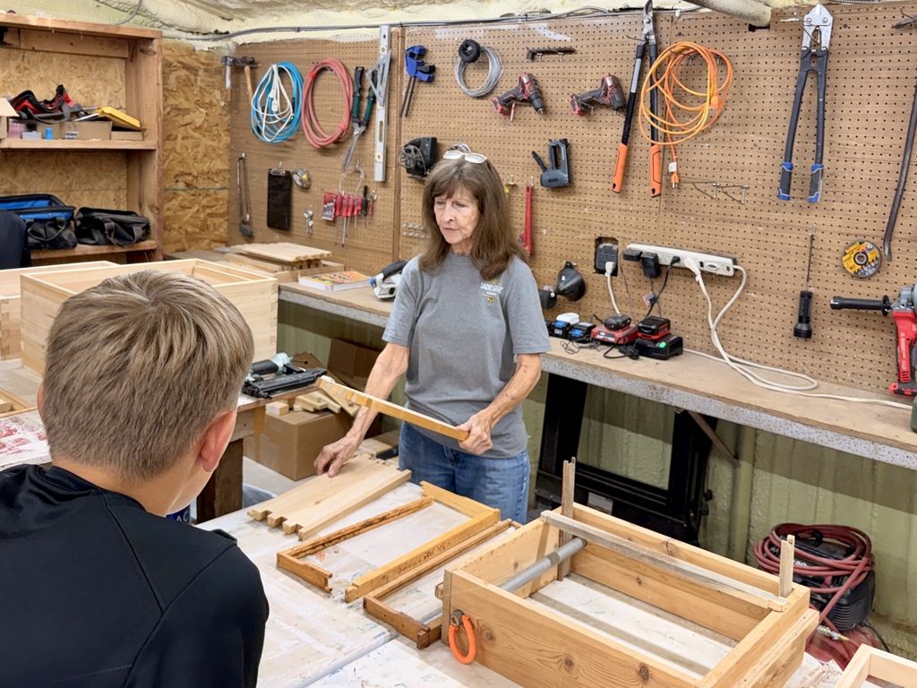 Building bee boxes