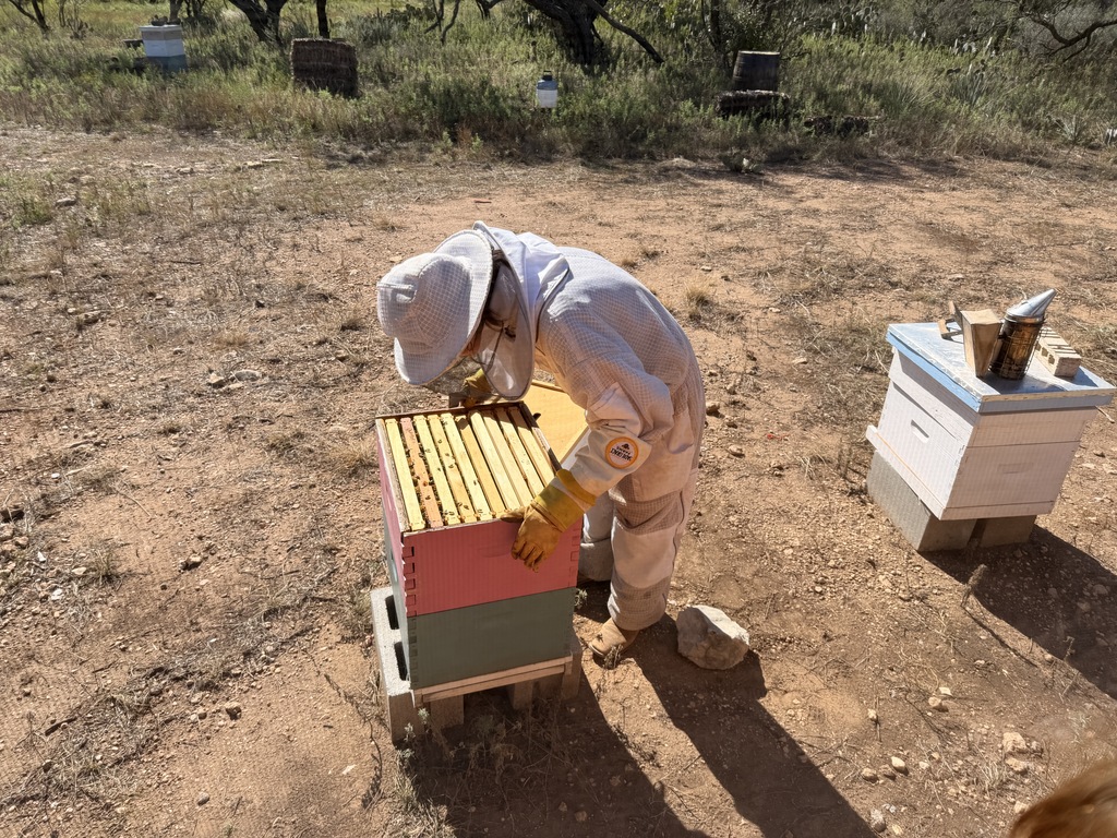 Beekeeper and Bee Box