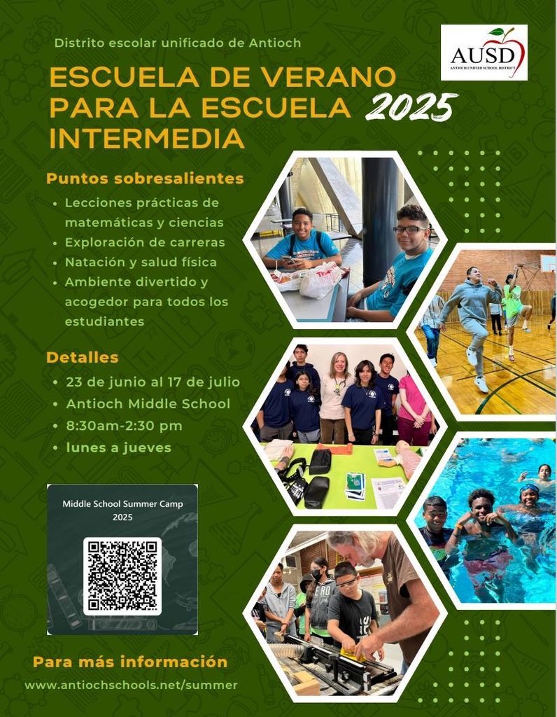 MS Escuela de Verano
