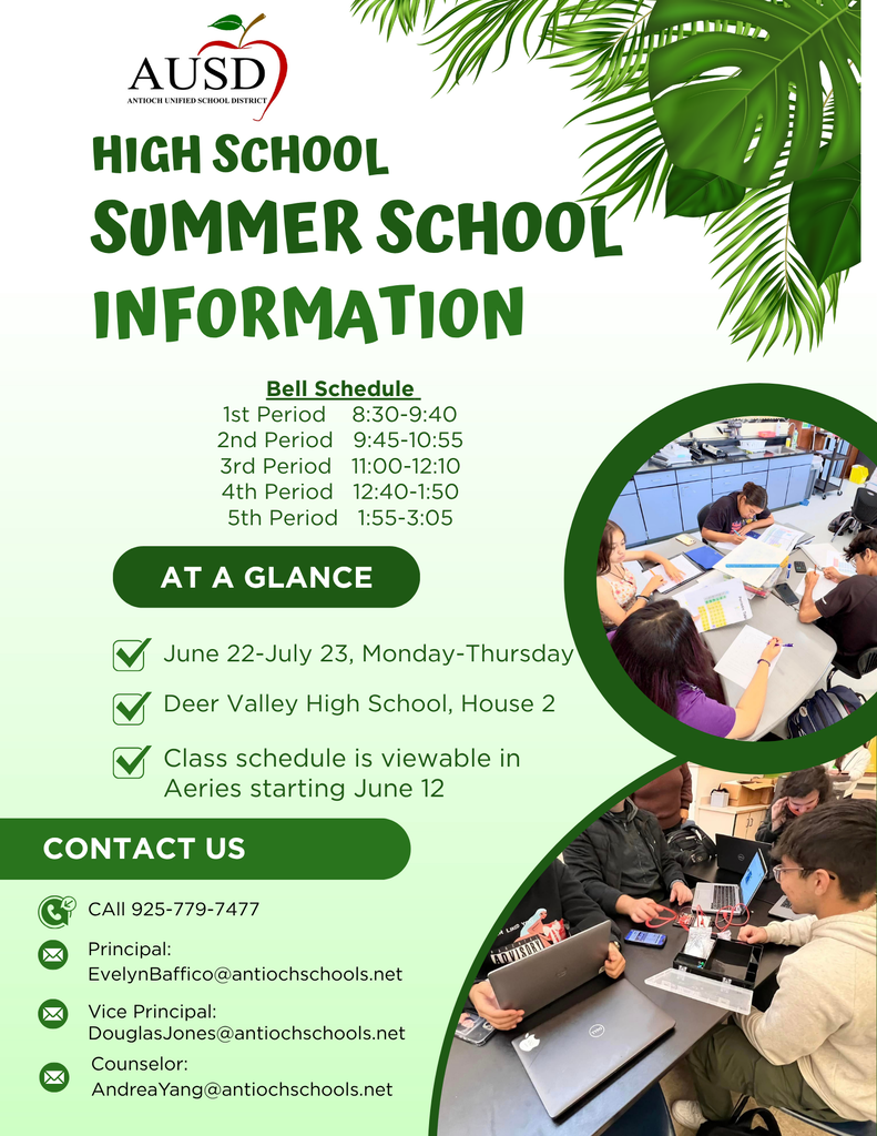 Summer School Info Flyer