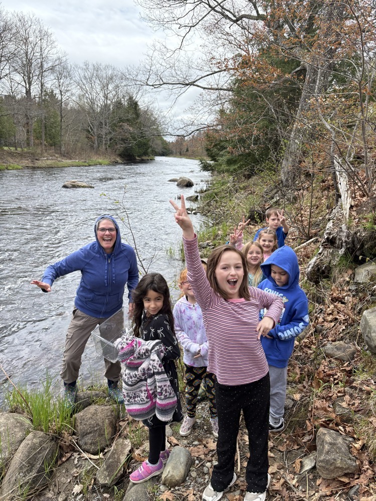 salmon release