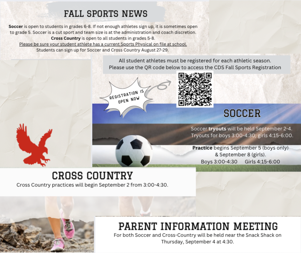 sports news