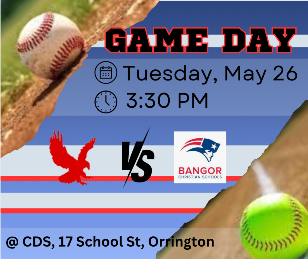 baseball softball