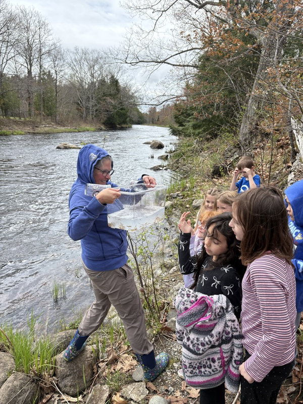 salmon release