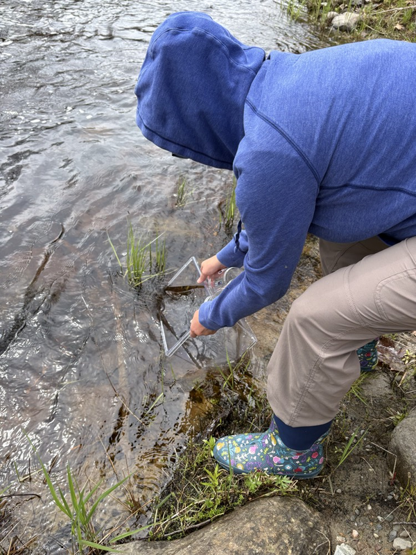 salmon release