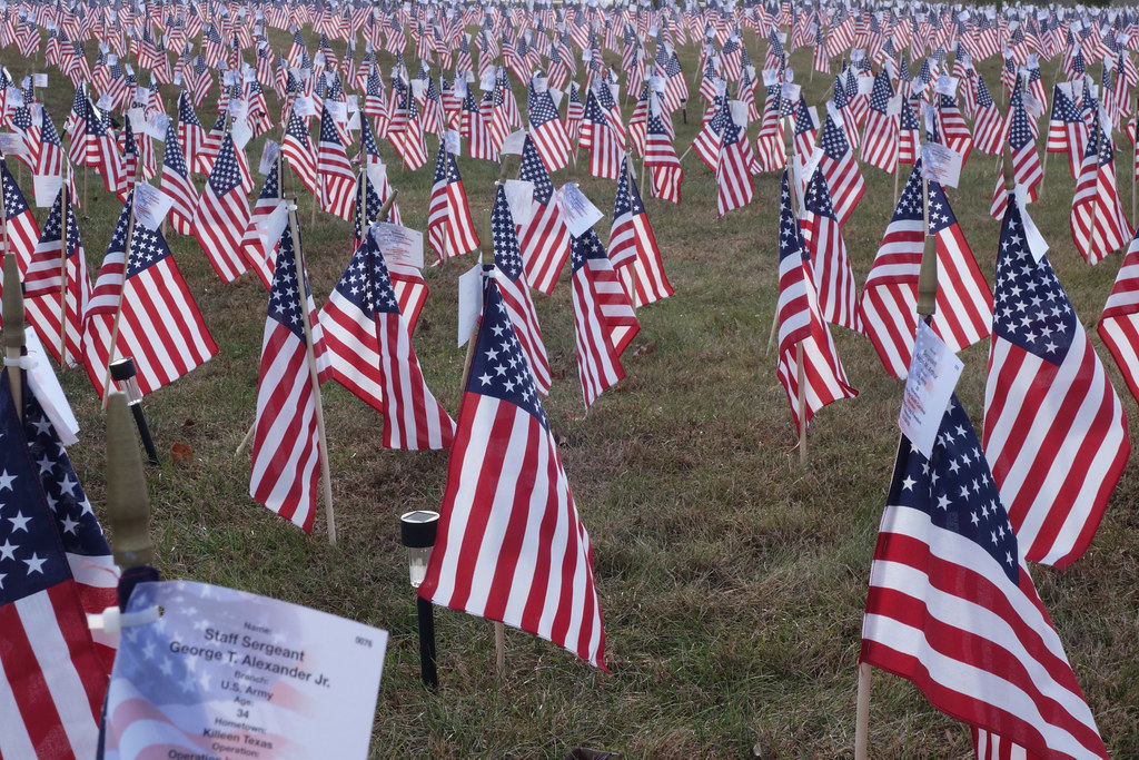 Field of flags