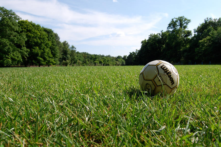 Soccer ball in a field
