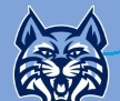 Wildcat Logo