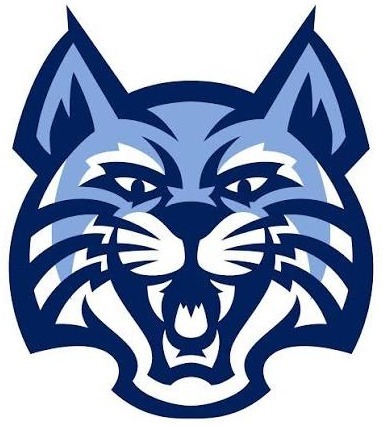wildcat