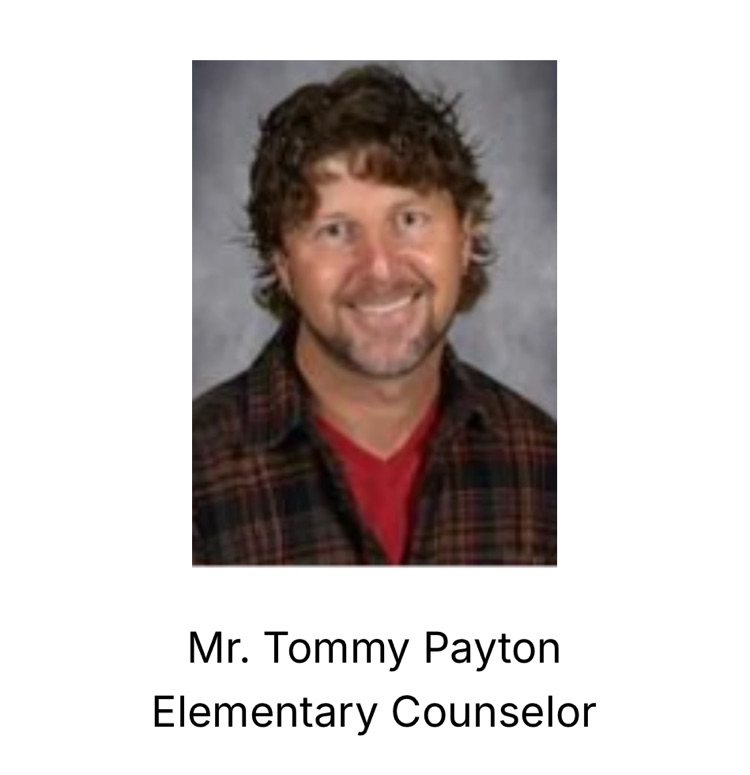 Elementary Counselor