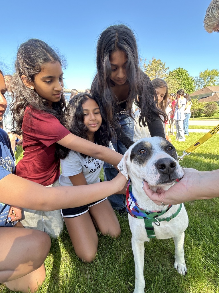 Students petting a dog.