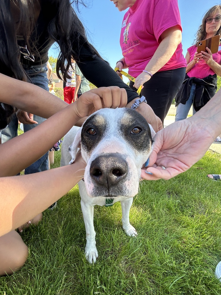 Dog face with student hands.