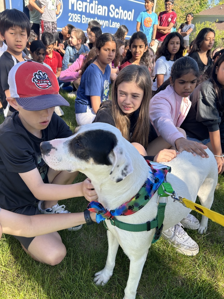 Students petting a dog outside.