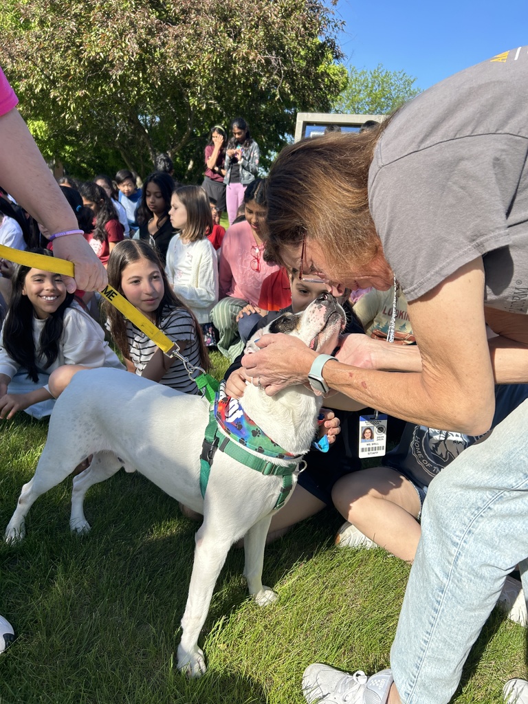 Teacher petting a dog.