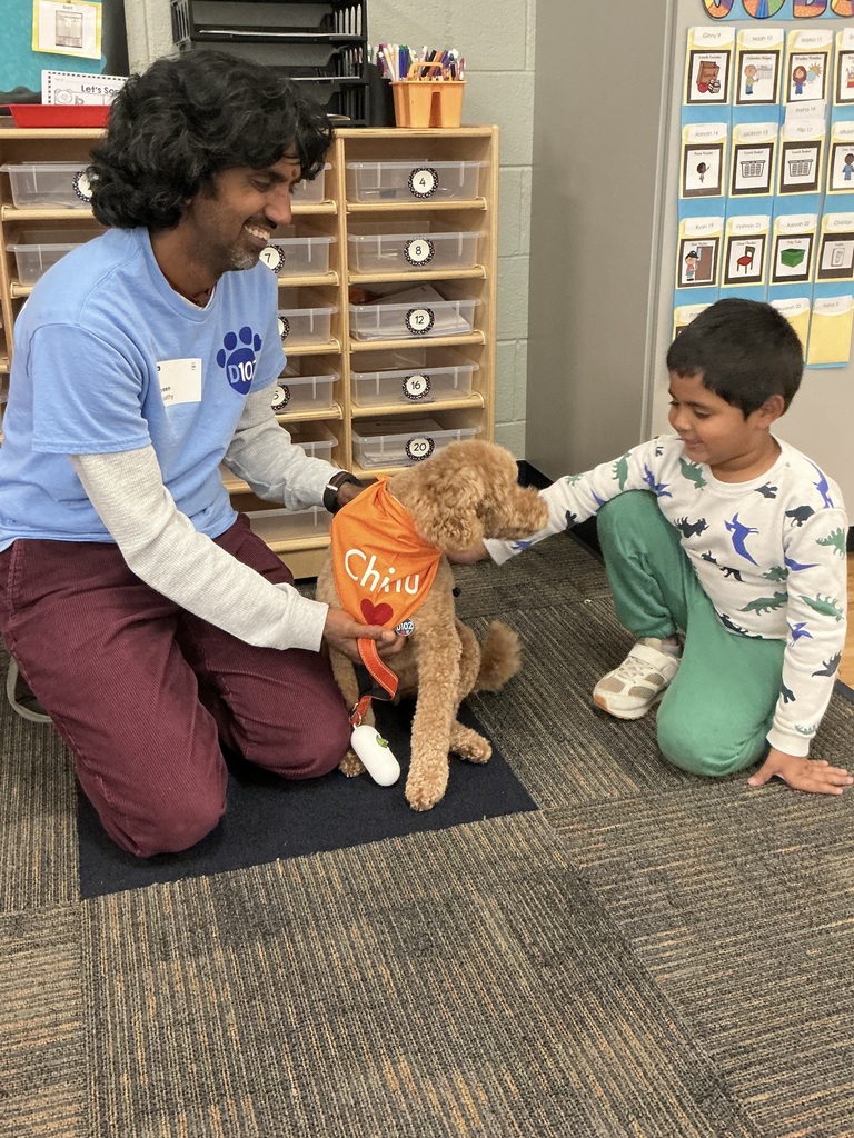 Boy petting a therapy dog.