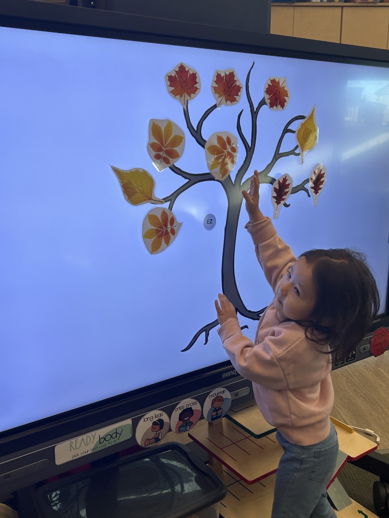 student hanging a leave on a tree.
