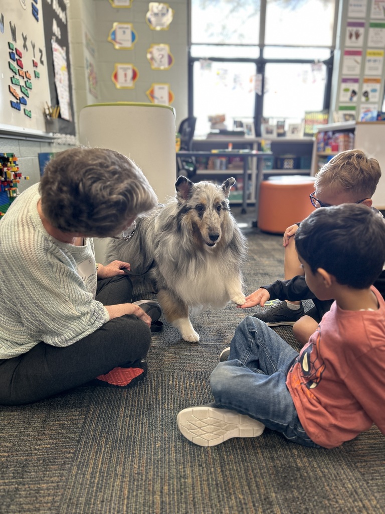 students sitting on the floor petting a dog.