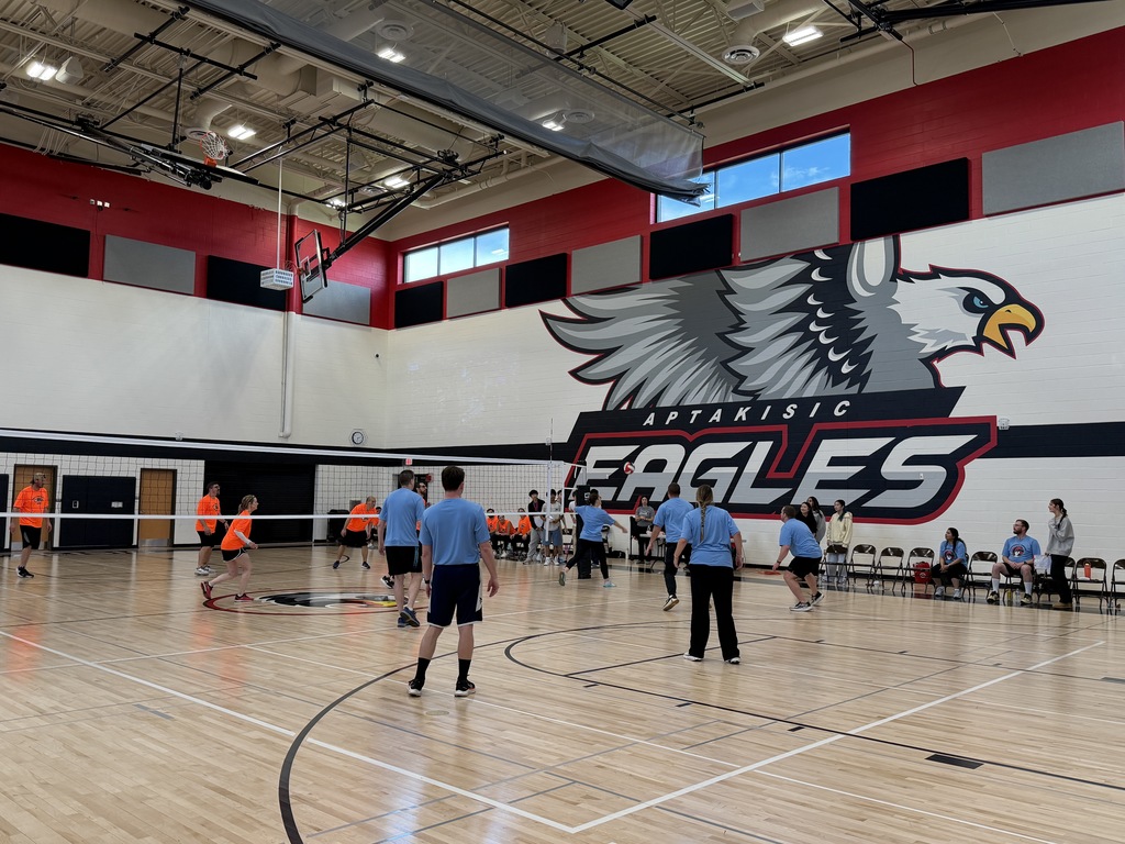 Staff playing volleyball game.